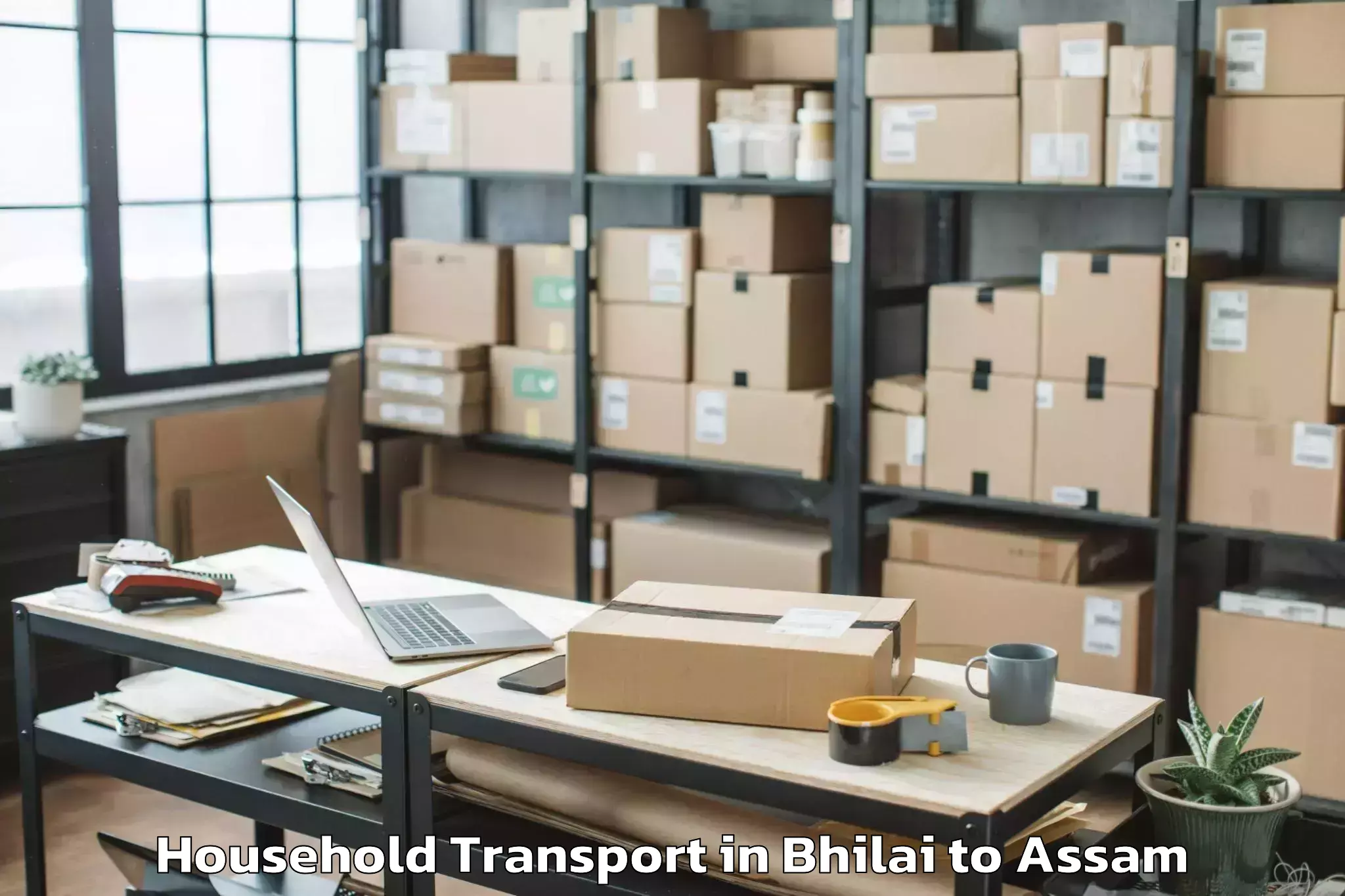 Trusted Bhilai to Bijni Pt Household Transport